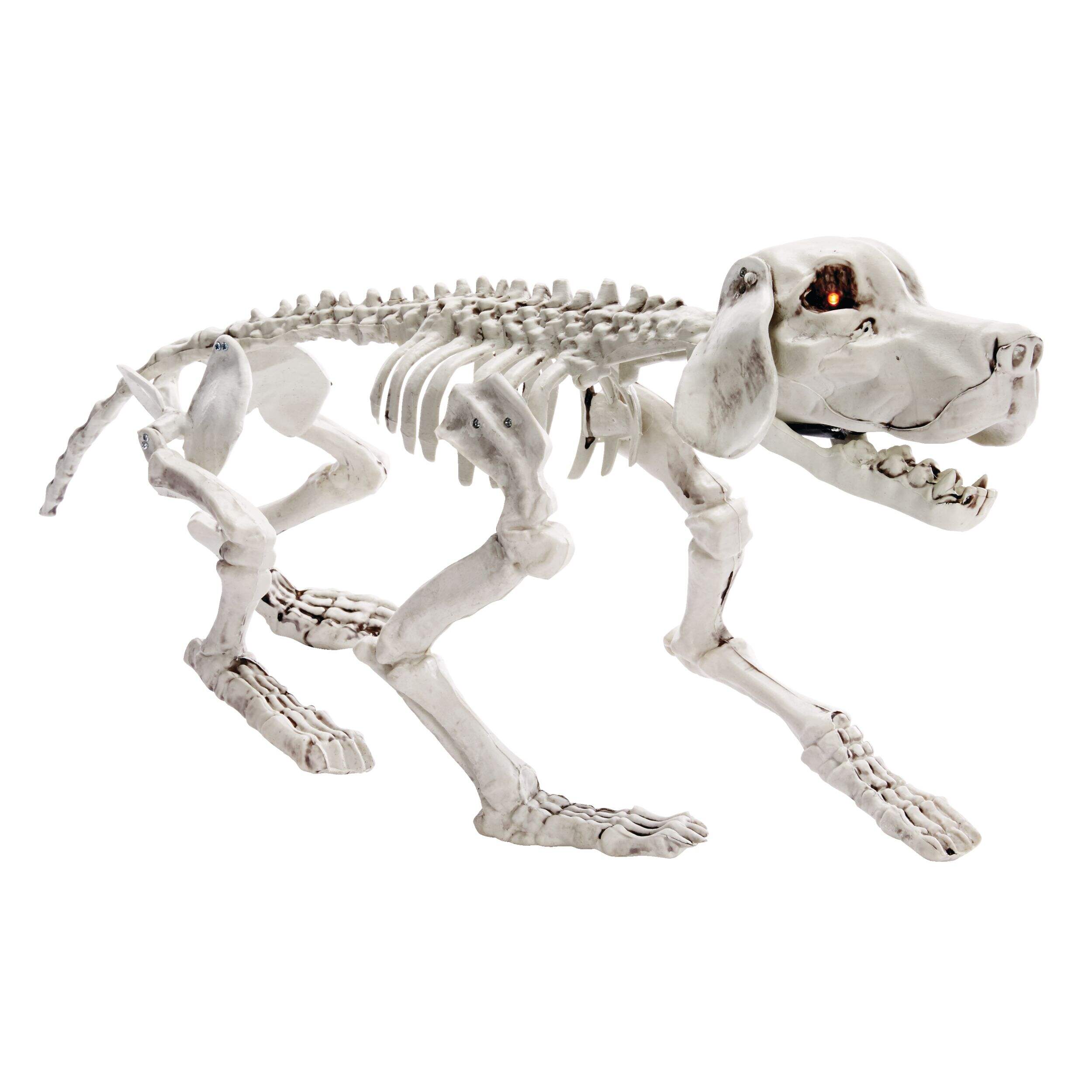 For Living Animated Animal Skeleton, 28-in, Assorted