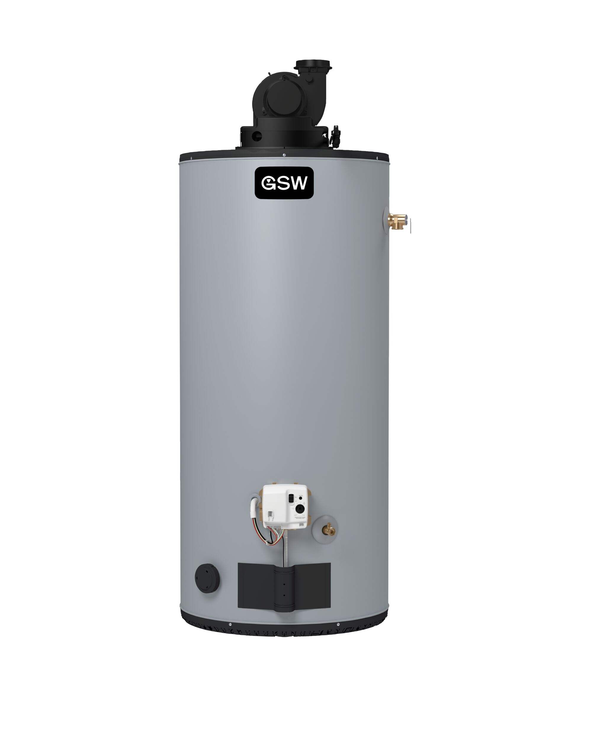GSW G650S40N-PV-ES2 40,000-BTU 189-L Natural Gas Water Heater, Metallic