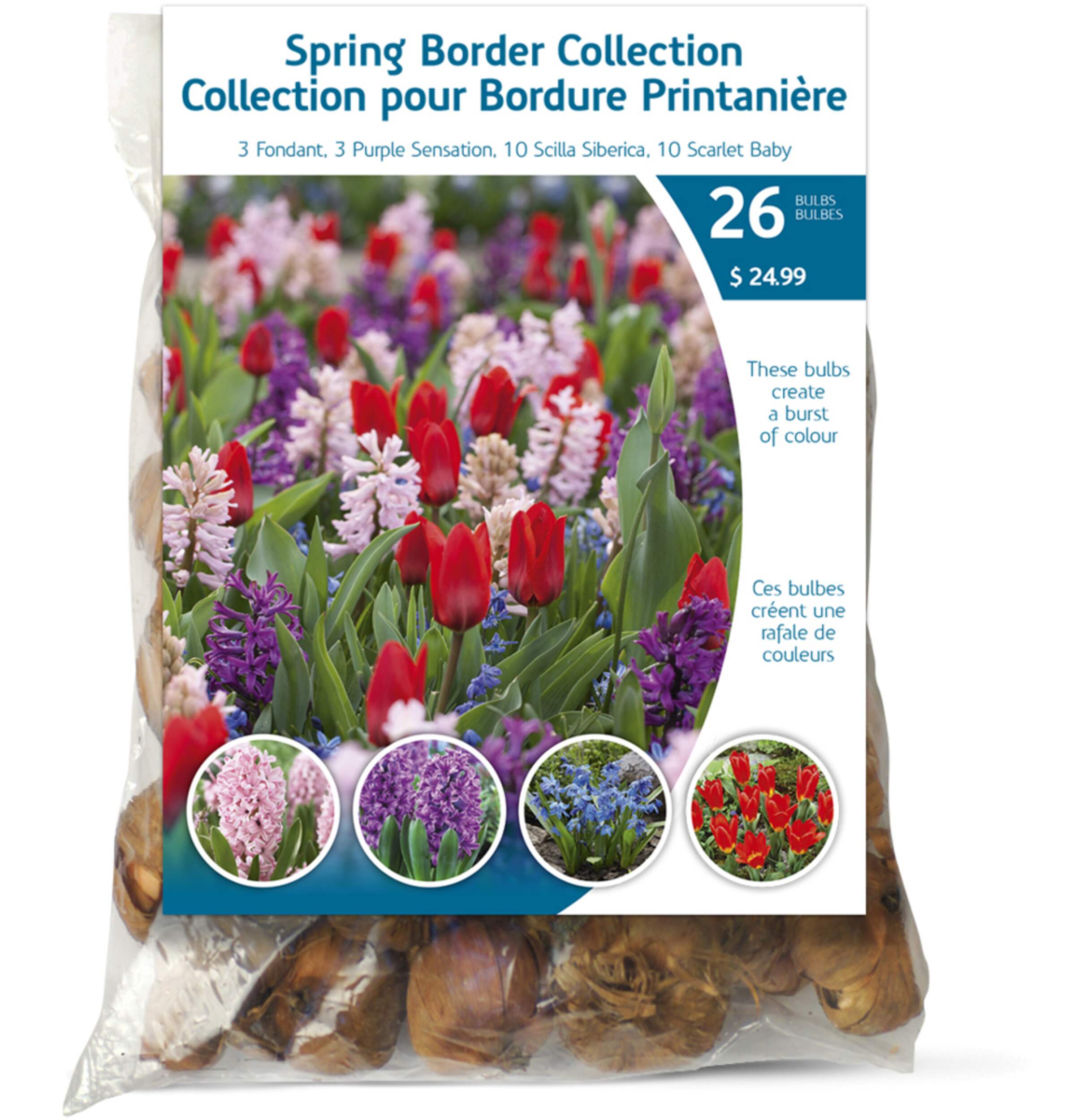 Bulbs Are Easy Spring Border Landscape Bulbs, Assorted