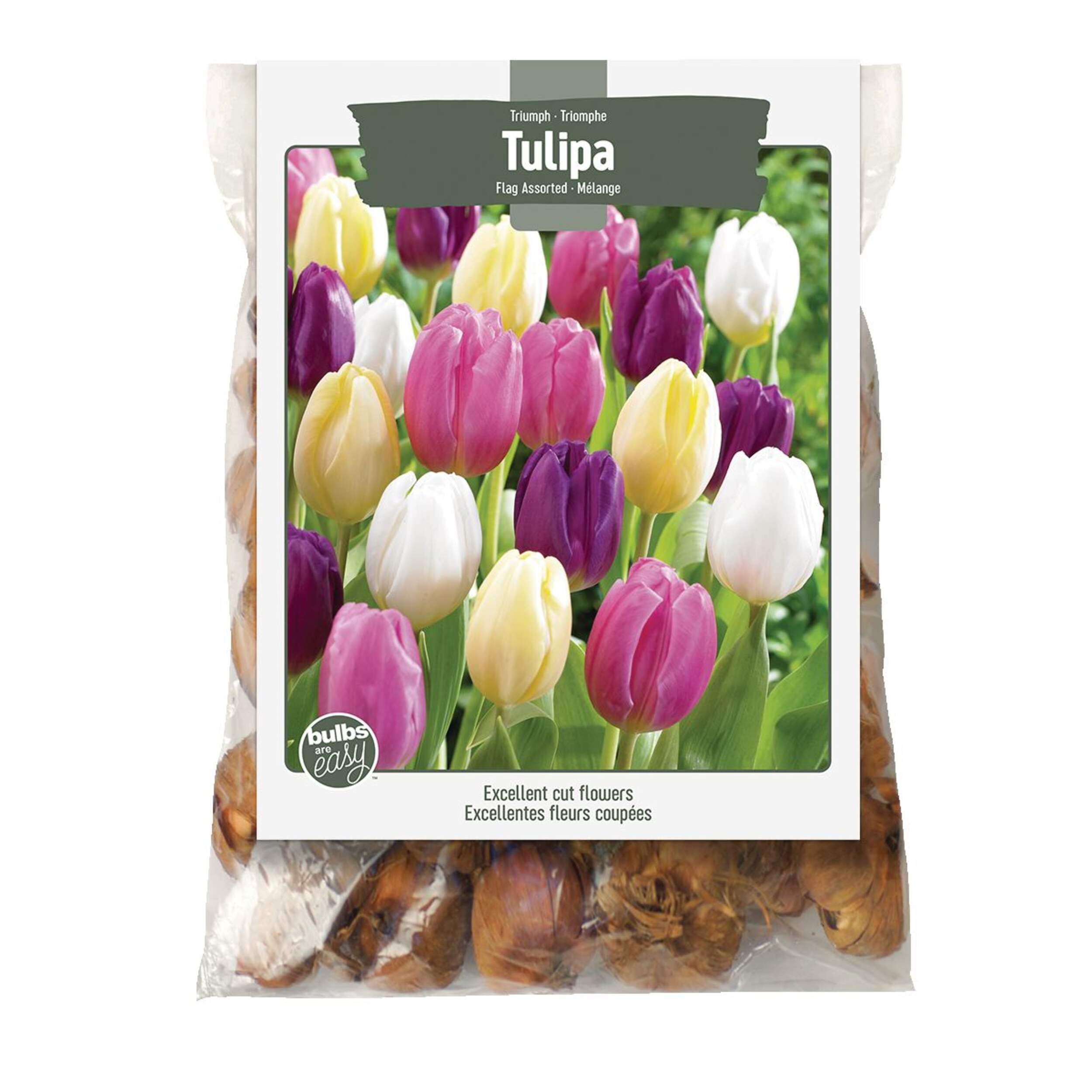 Bulbs Are Easy, Assorted Tulip Bulbs, Assorted Varieties, Home Garden