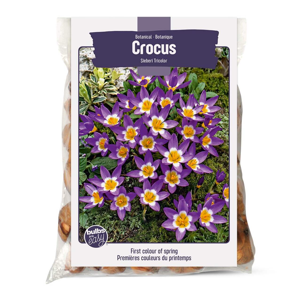 Bulbs Are Easy, Bar's Purple Crocus Bulbs, Assorted Varieties, Home Garden
