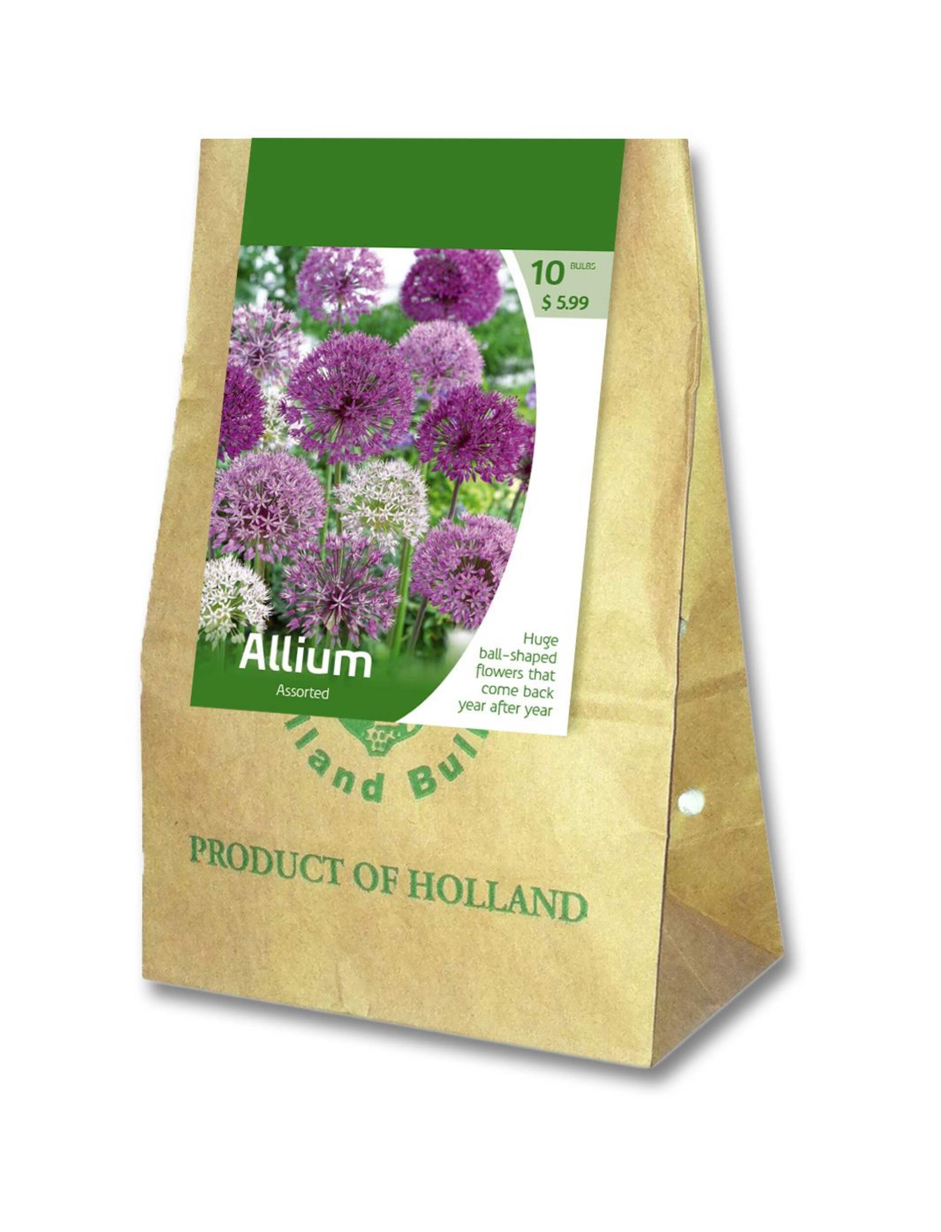 Assorted Allium Bulbs, 10-pk