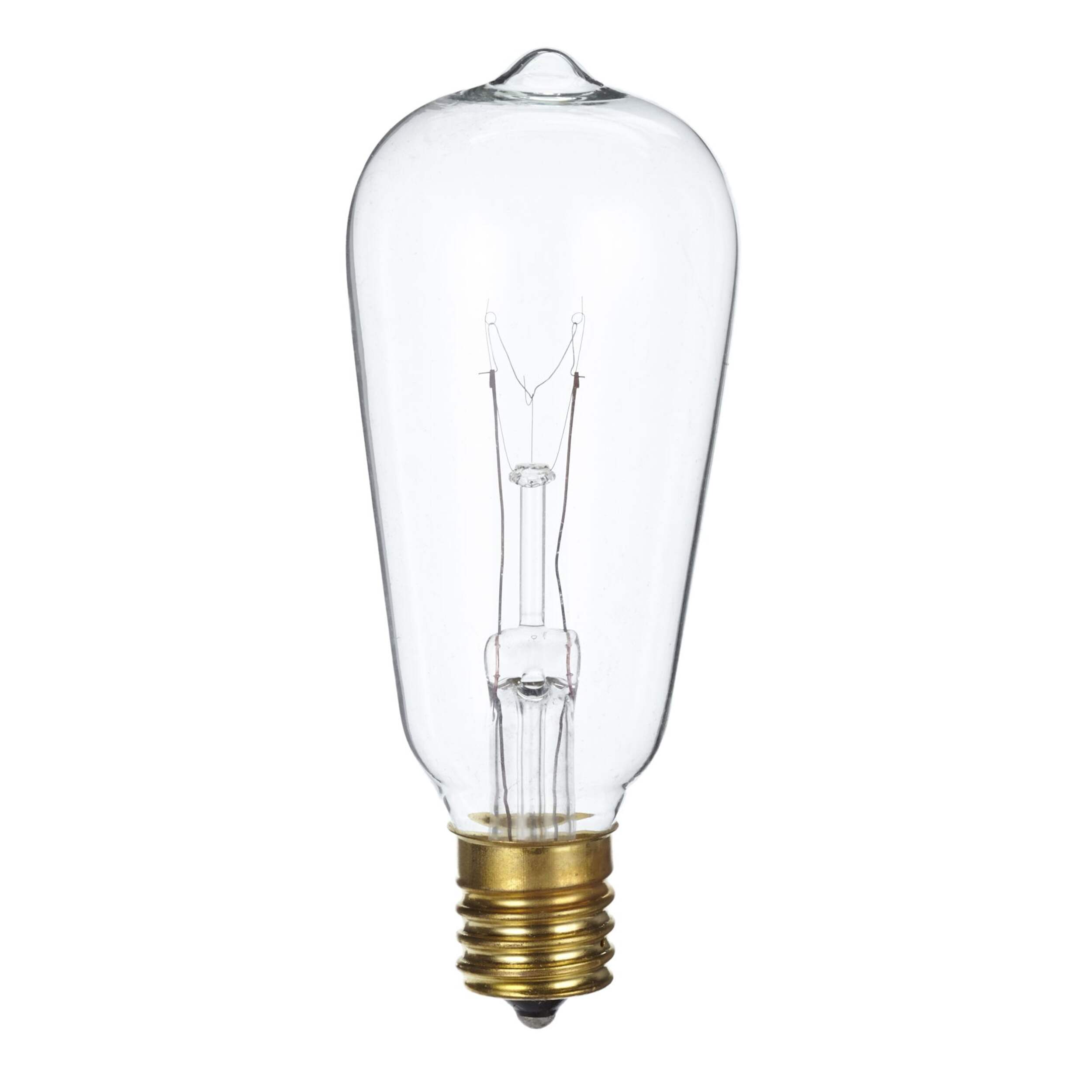 CANVAS Vintage Edison Clear Incandescent Light Bulb Replacement
