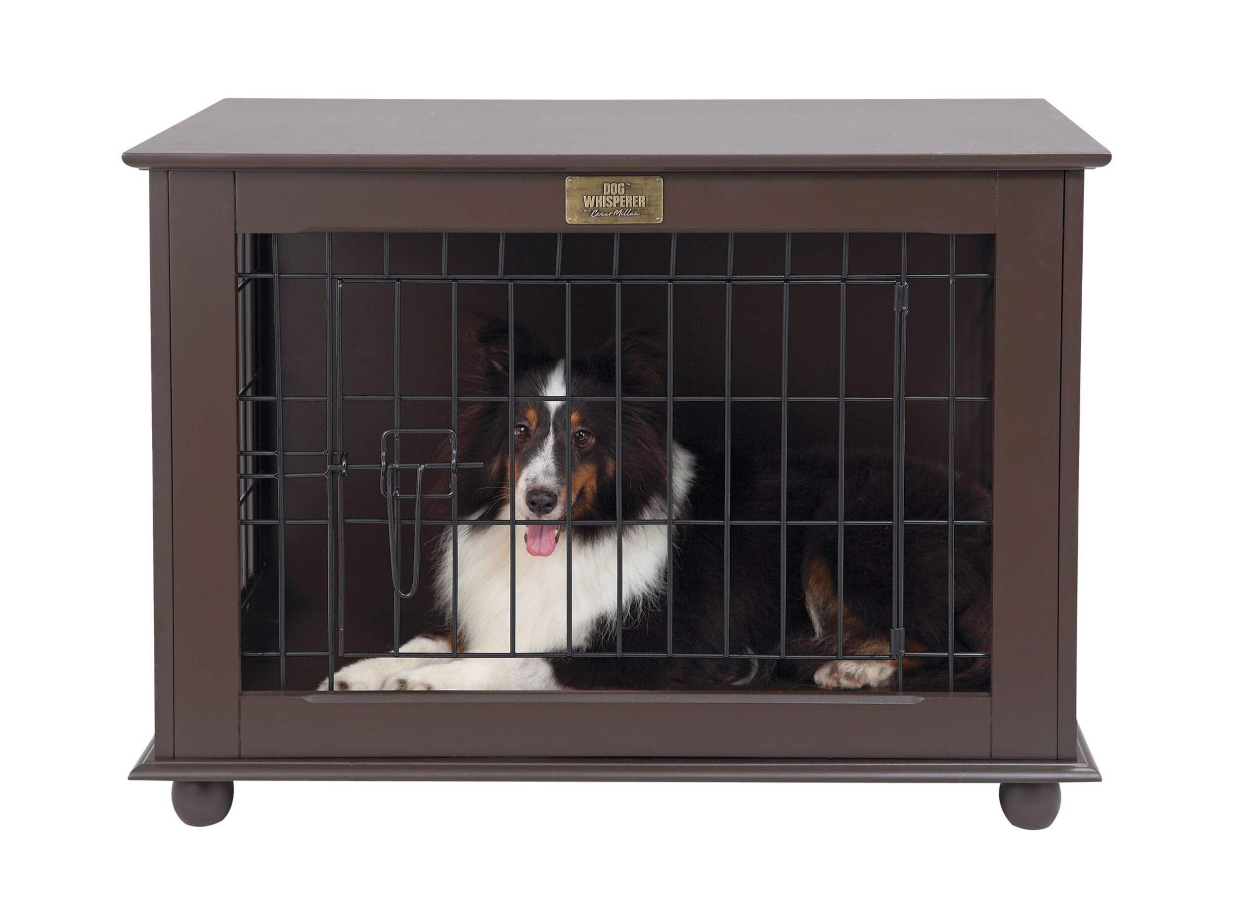 Cesar Millan Medium Dog Crate, 30 x 19 x 22-in