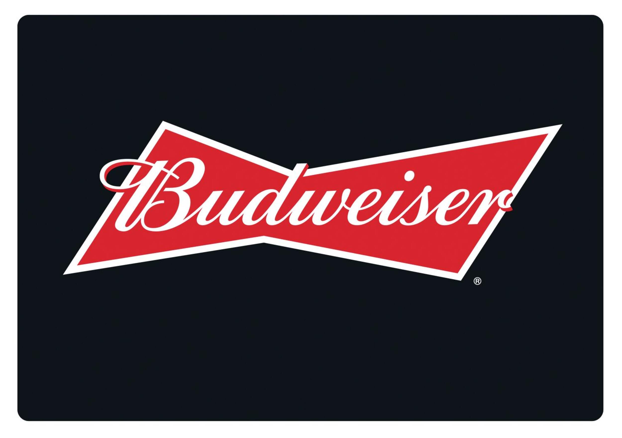 Budweiser LED Pub Sign