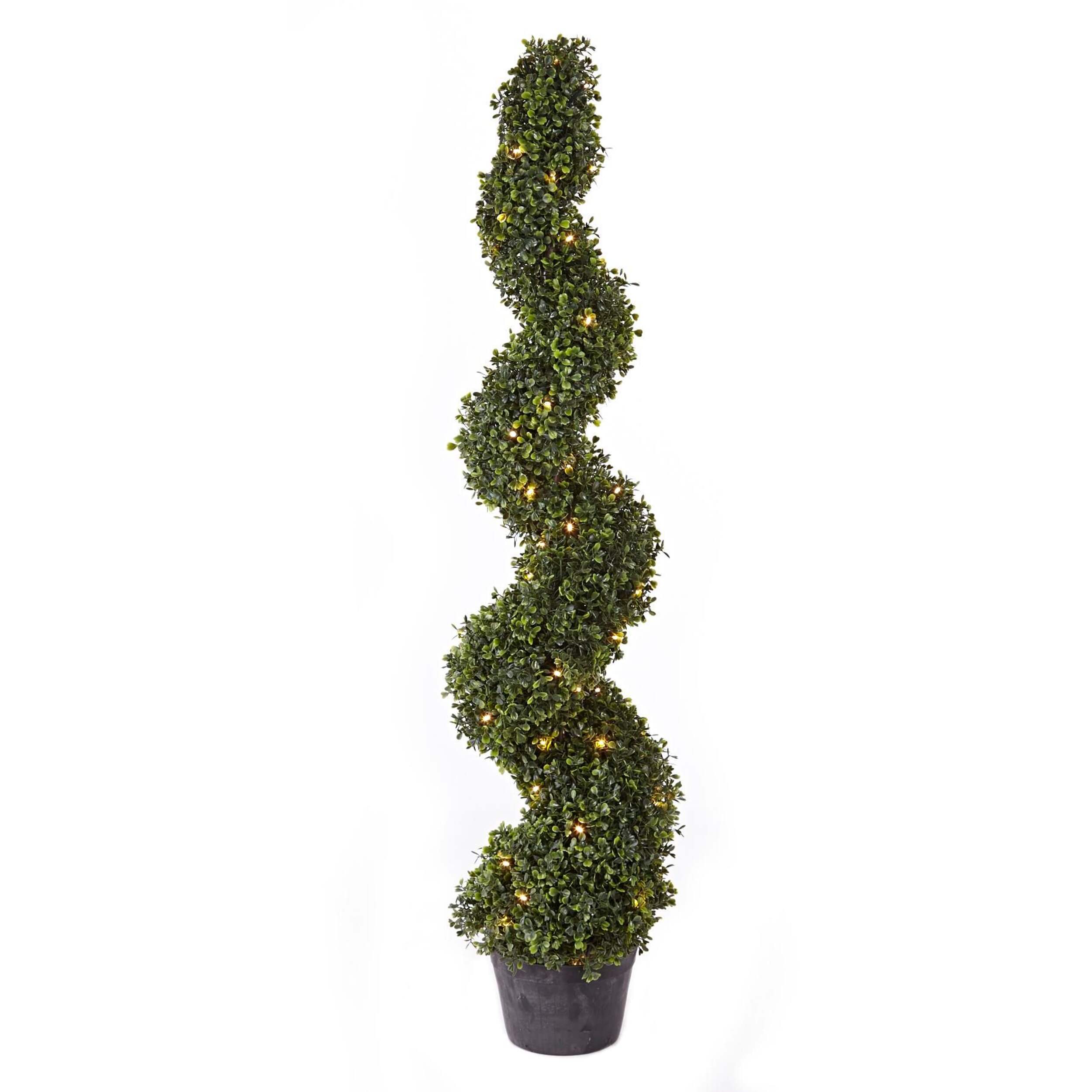 Danson Spiral Boxwood LED Lights, 4-ft