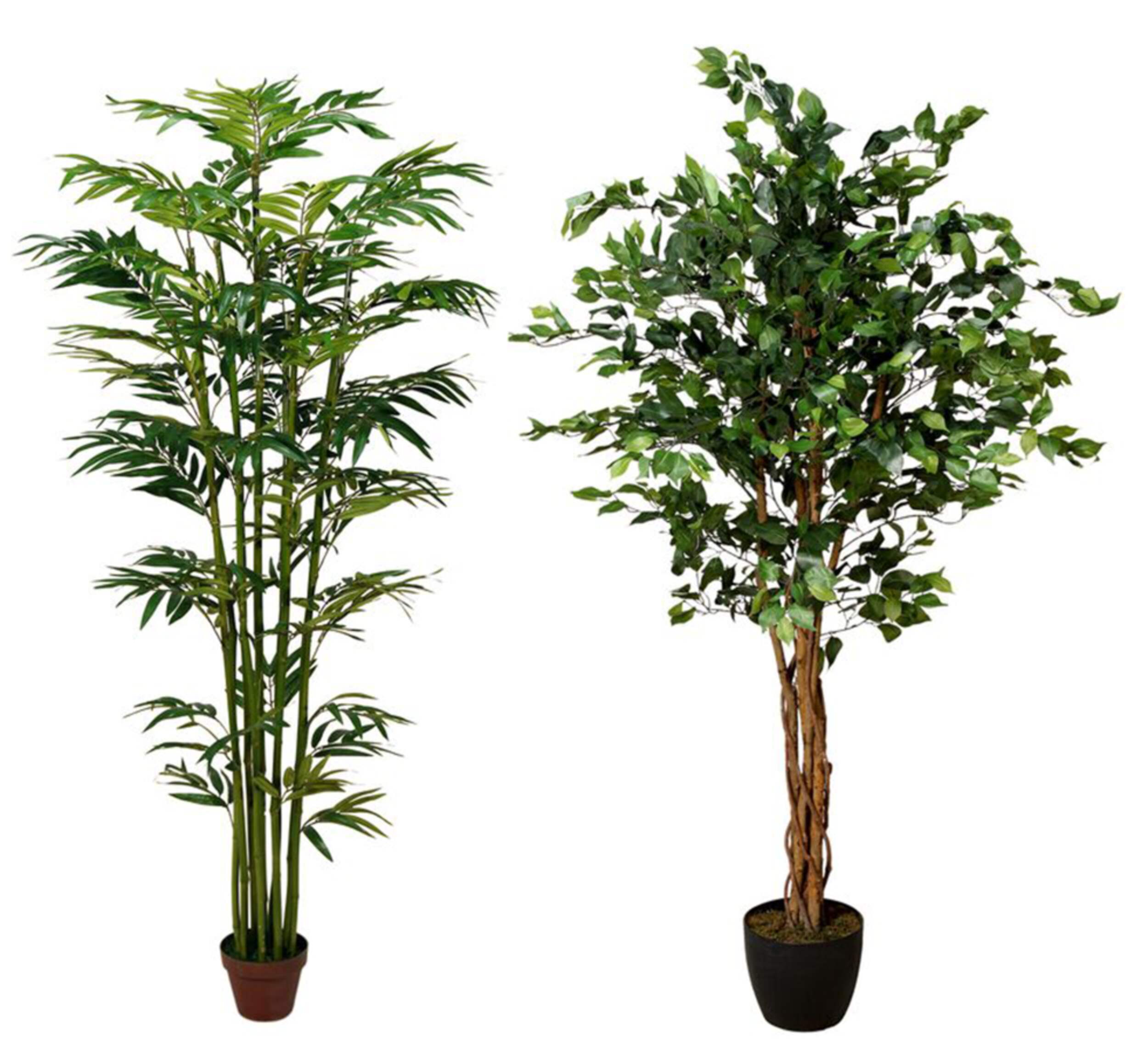 Danson Artificial Indoor Bamboo/Ficus Tree in Plastic Pot, Assorted Variants, 72-in
