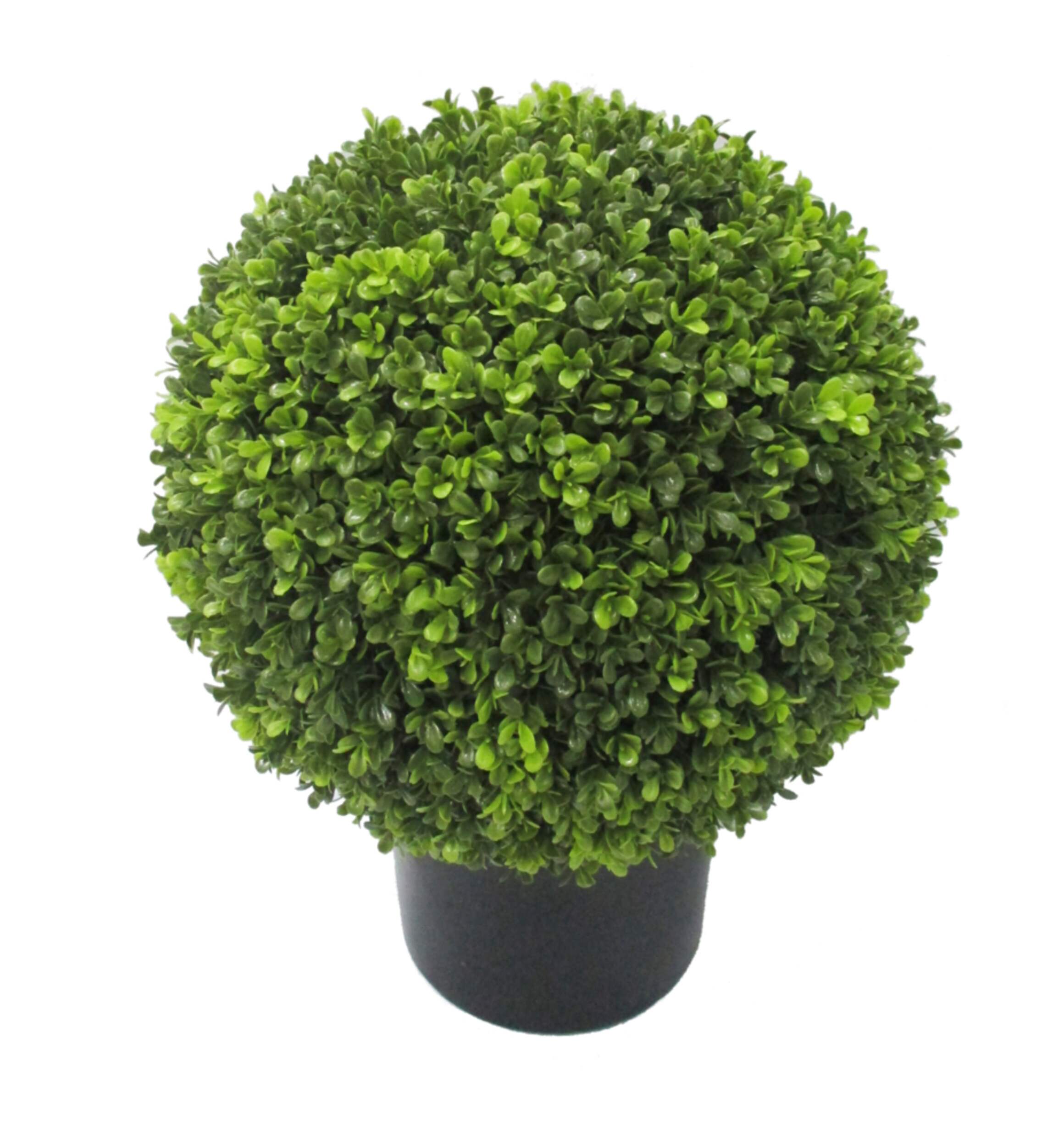 CANVAS Artificial Indoor Boxwood Ball Tree in Black Plastic Pot, 18.5-in
