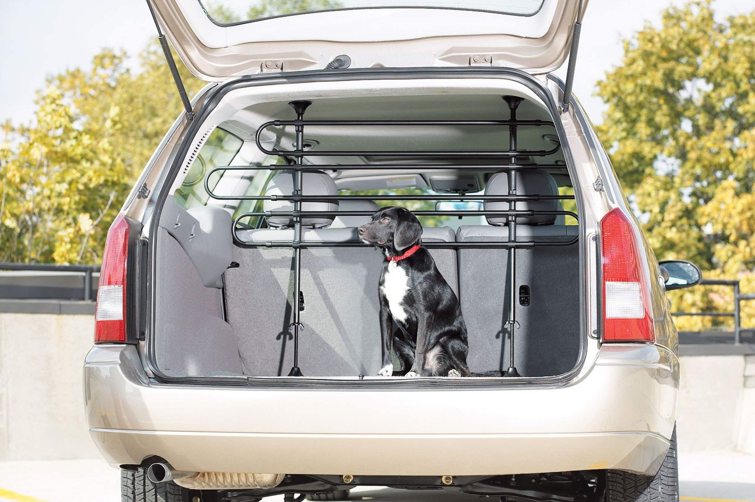 Six-Bar Auto Pet Barrier